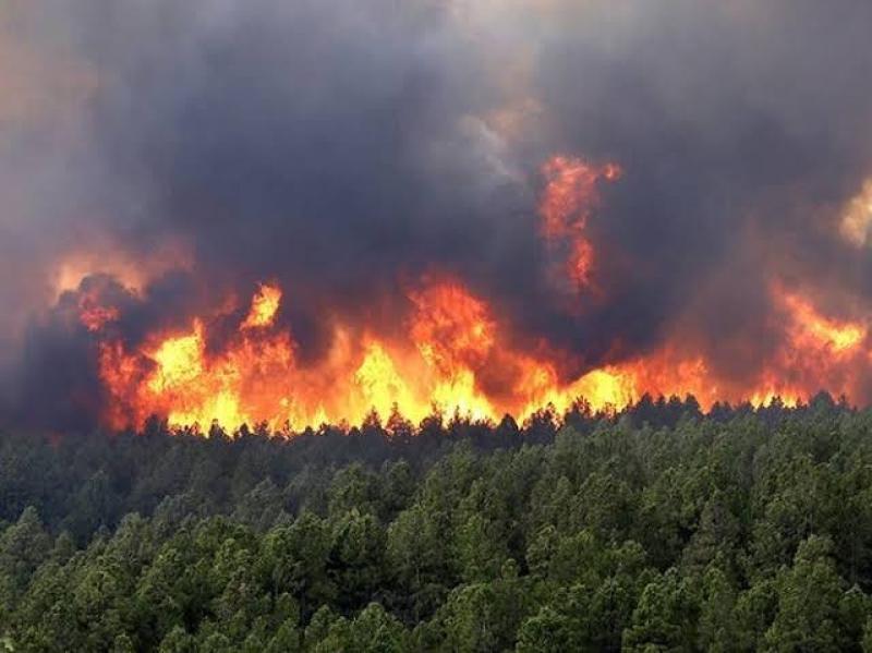 الجارديان: حرائق الغابات النادرة في بريطانيا ارتفعت إلى 24000 بسبب تغير المناخ
