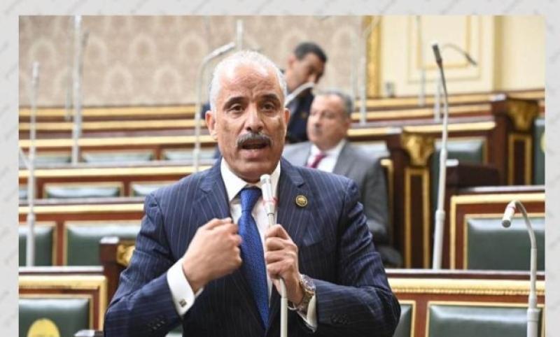النائب عيد حماد