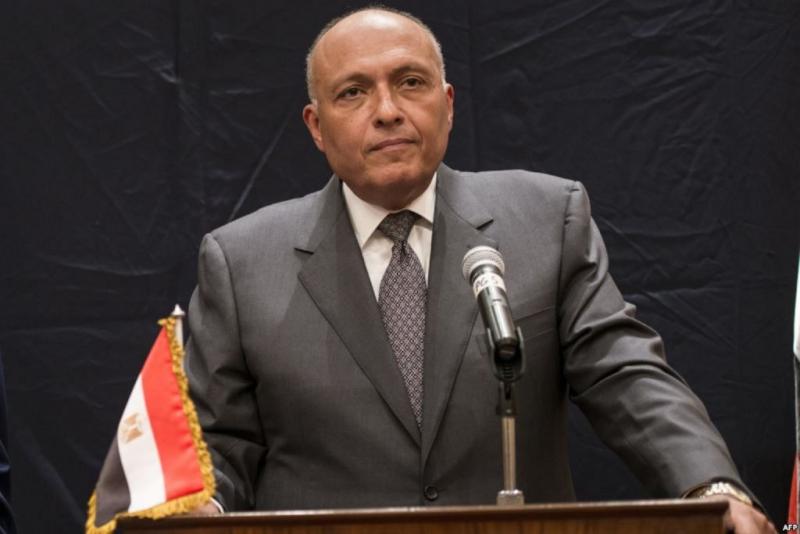 وزير الخارجية المصرية سامح شكري 