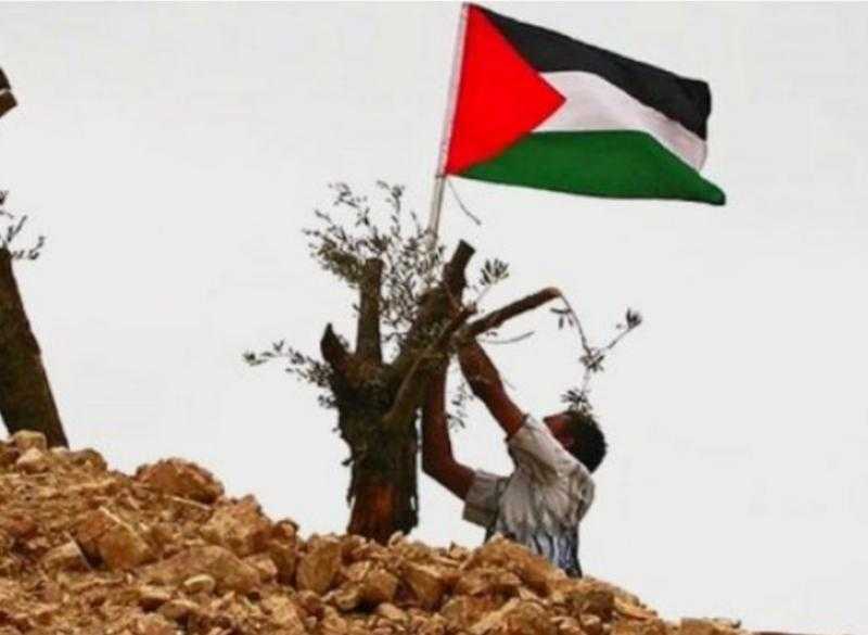 دبلوماسي سابق: الأمم المتحدة أخفقت في الملف الفلسطيني