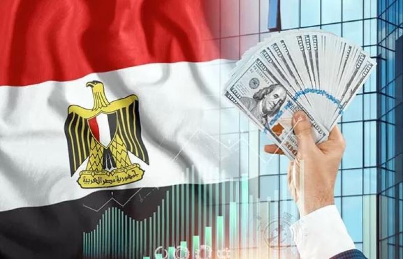 خبيرة اقتصادية: 20 إجراء لتحفيز الاستثمار الصناعي.. «فيديو»