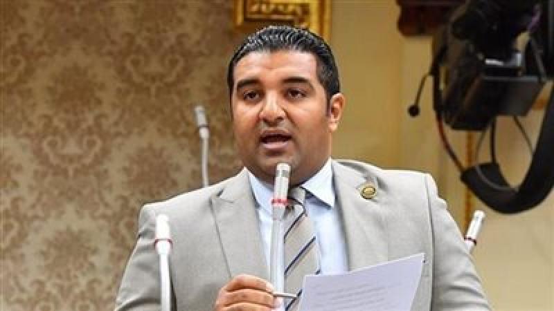 النائب محمود عصام موسى