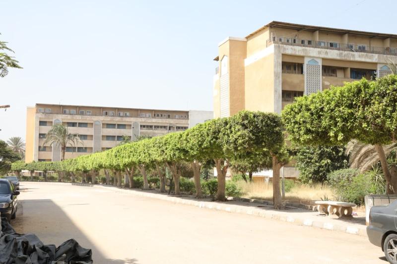 مدينة جامعية 