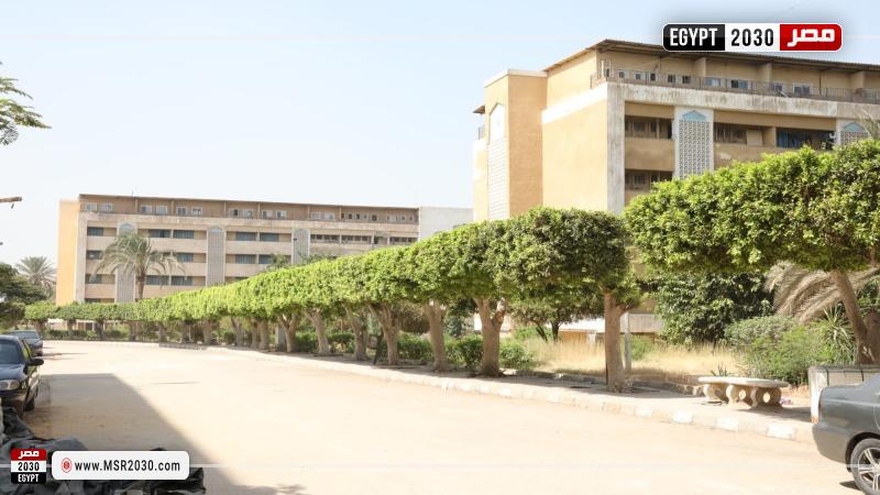 مدينة جامعية