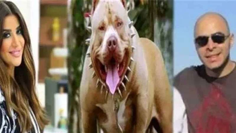 زوج أميرة شنب