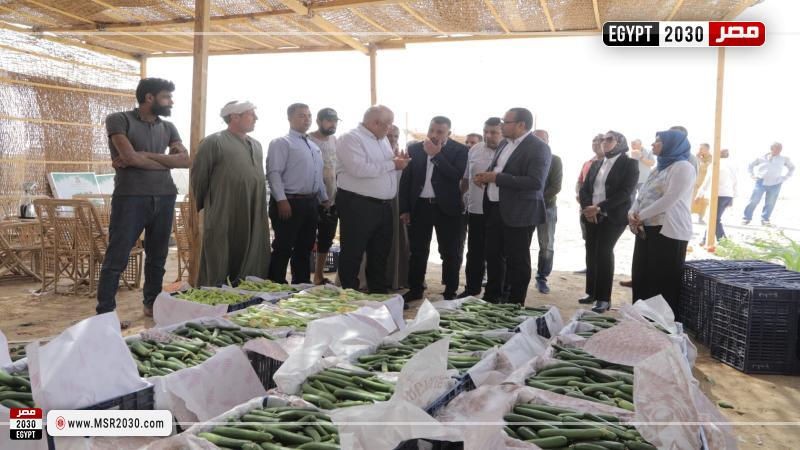 جانب من المتابعة