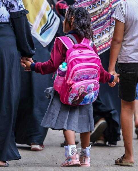 مصر تتعاون مع اليونسكو لتطوير المناهج وتدريب المعلمين.. تفاصيل