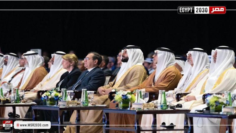 وزير البترول والثروة المعدنية