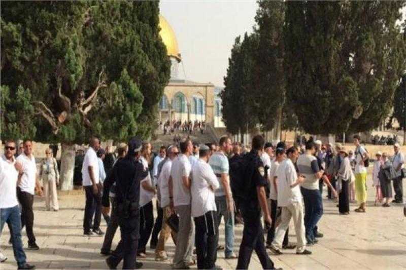 مئات المستوطنين يقتحمون المسجد الأقصى