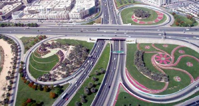 المشروعات التنموية