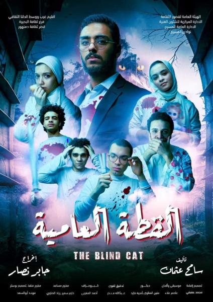 القطة العامية 