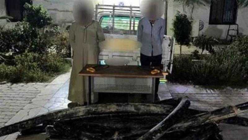 ضبط عصابة سرقة الكابلات الكهربائية في القاهرة