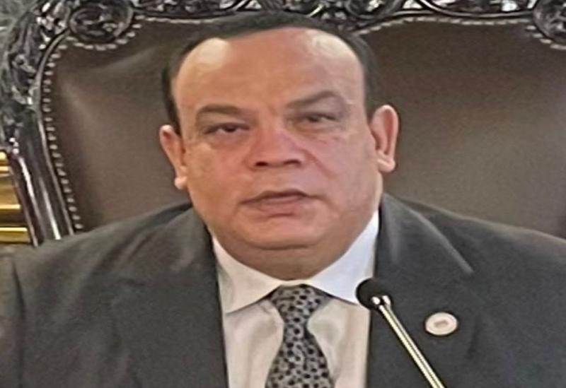 المستشار حازم بدوي