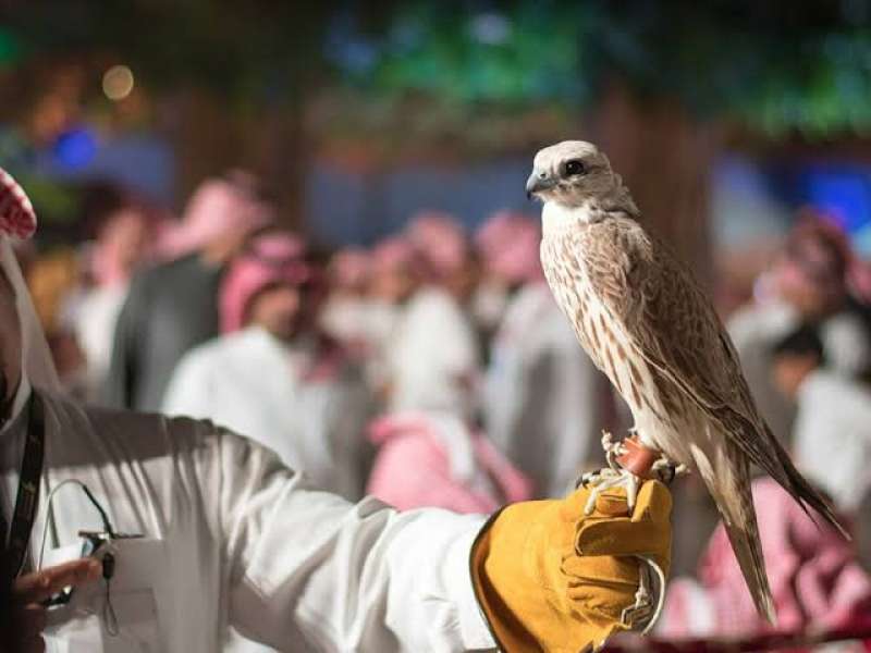 معرض الصقور والصيد الدولي بالرياض