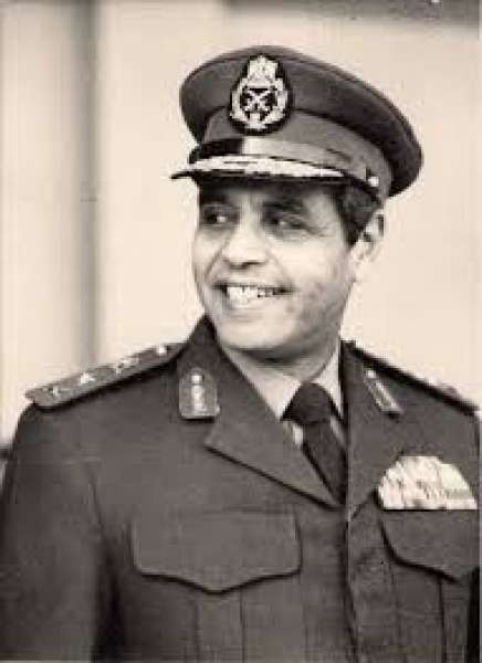 المشير محمد علي فهمي 