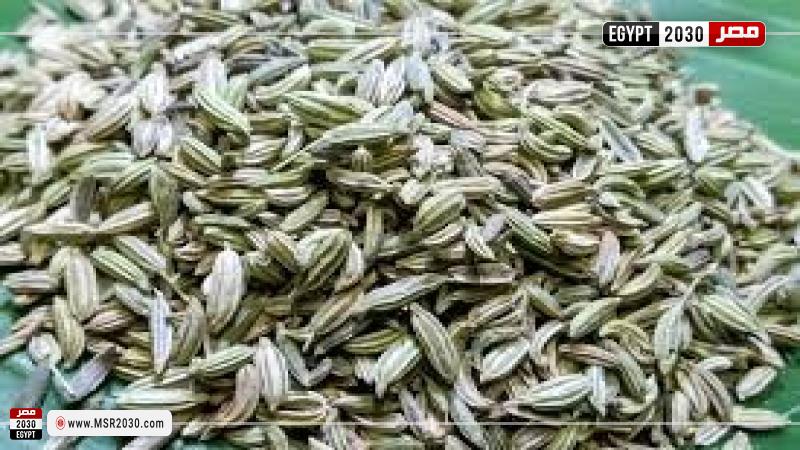 اليانسون