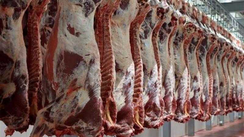 الكيلو بـ225 جنيهًا.. «الزراعة» تطرح اللحوم البلدي في منافذ البيع التابعة لها