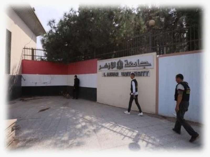 أرشيفية 
