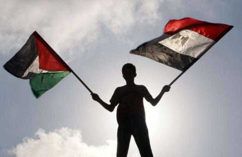 جزء من الأمن القومي.. لماذا تدافع مصر عن القضية الفلسطينية؟