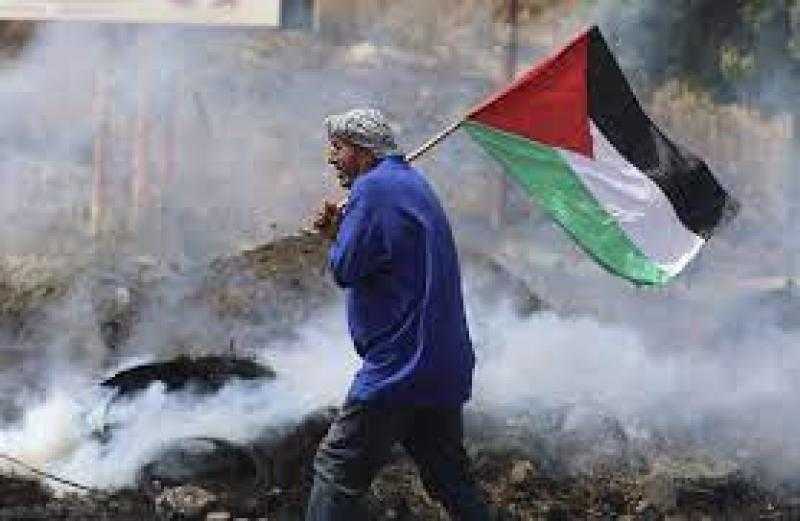 «مصر 2030» تستعرض تطورات الأحداث على الساحة الفلسطينية خلال اليوم الأحد