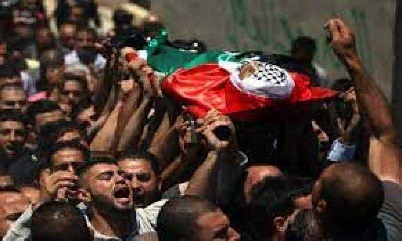 فلسطين: ارتفاع عدد الشهداء في غزة لـ 560 وإصابة 2900 آخرين