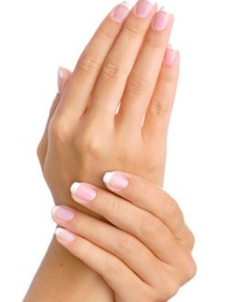 تد المرأة