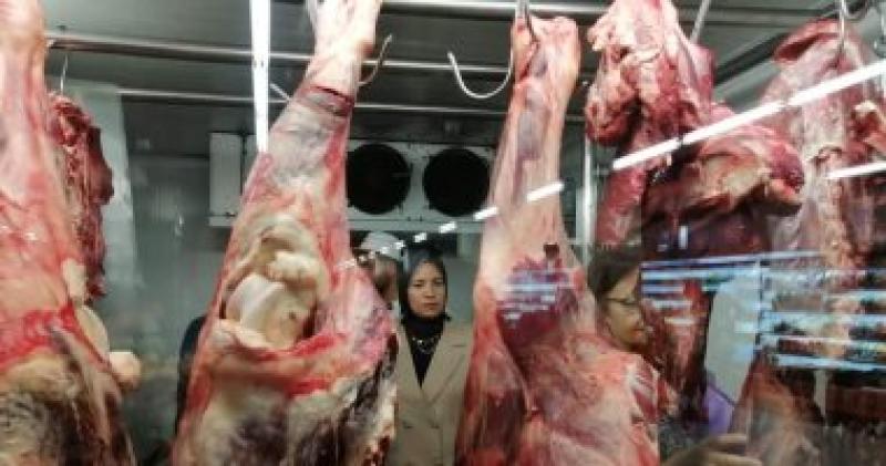 المضبوطات 