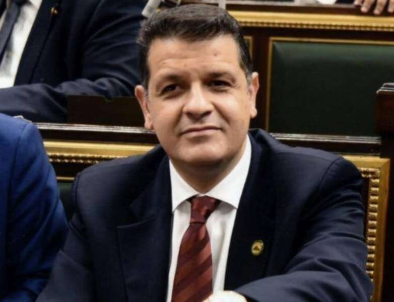 النائب طارق رضوان
