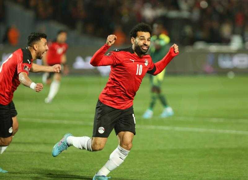 نجم منتخب الجزائر: مصر الأفضل في القارة وصلاح لاعب كبير
