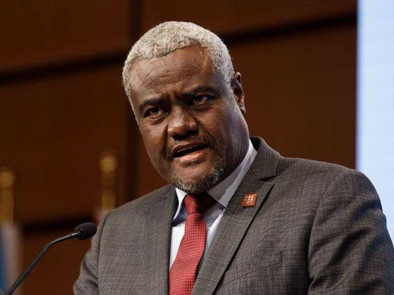 موسى فقيه يؤكد أهمية مصر وثقلها بالقارة الإفريقية