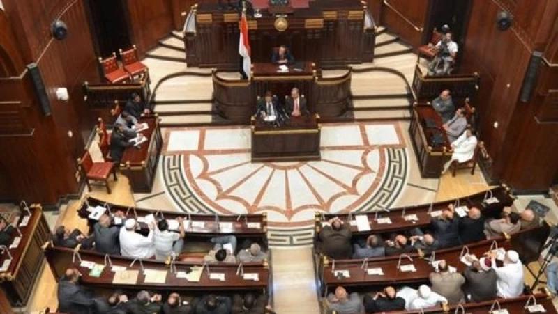 مجلس الشيوخ يؤيد الرئيس في حماية الأمن القومي ودعم الشعب الفلسطيني