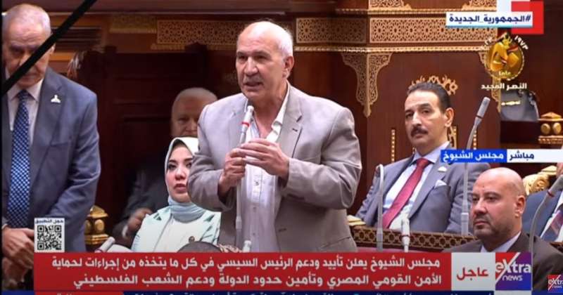 النائب السيد عبد العال 