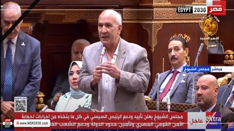 النائب السيد عبد العال