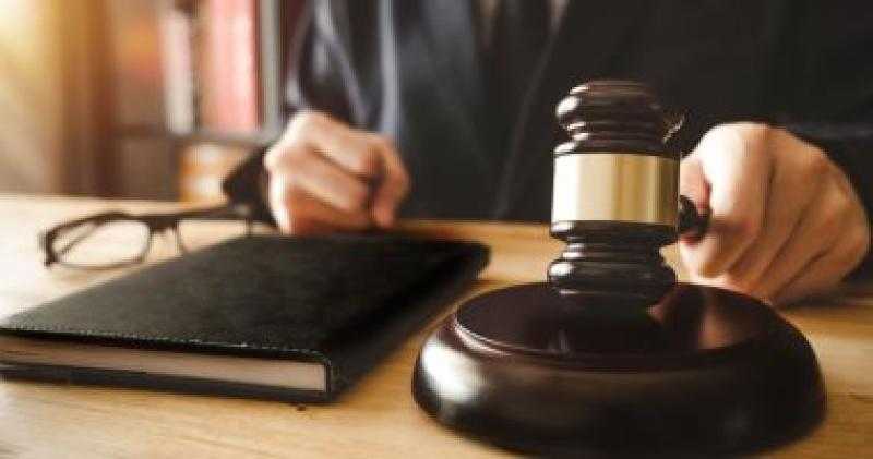 تأجيل محاكمة موظف وربة منزل بتهمة خطف طفلة في الجيزة