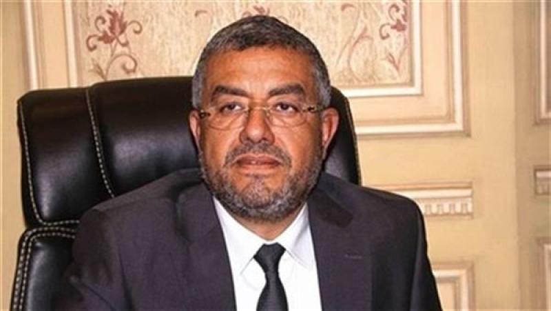  النائب عماد سعد حمودة