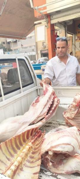 ضبط 41 طن لحوم غير صالحة للاستهلاك الآدمي في الجيزة