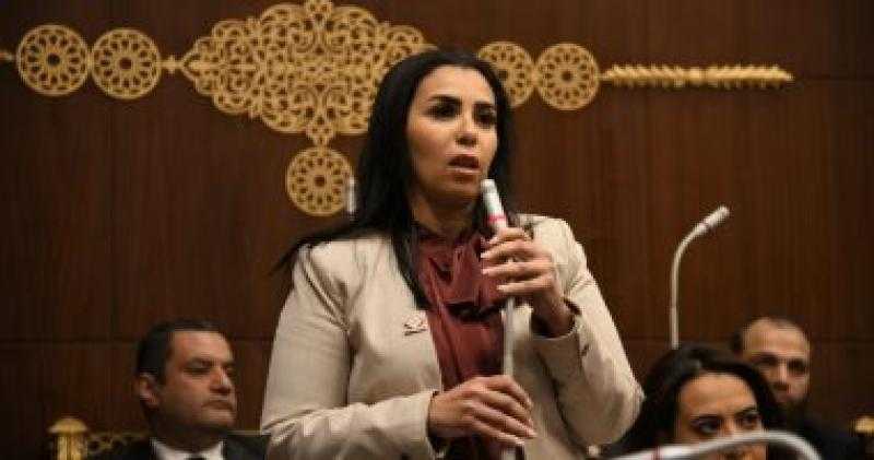 برلمانية: مصر تمتلك أدوات إدارة التفاوض القوي وتدعم حق فلسطين في الأرض