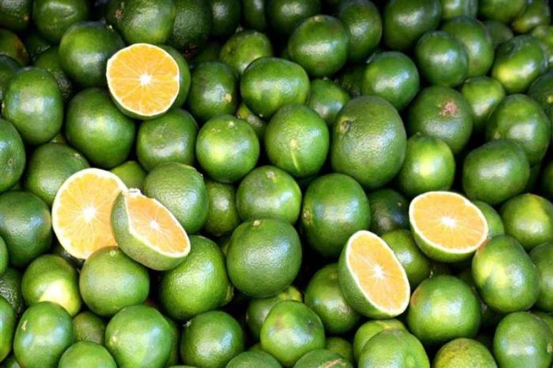 البرتقال الأخضر