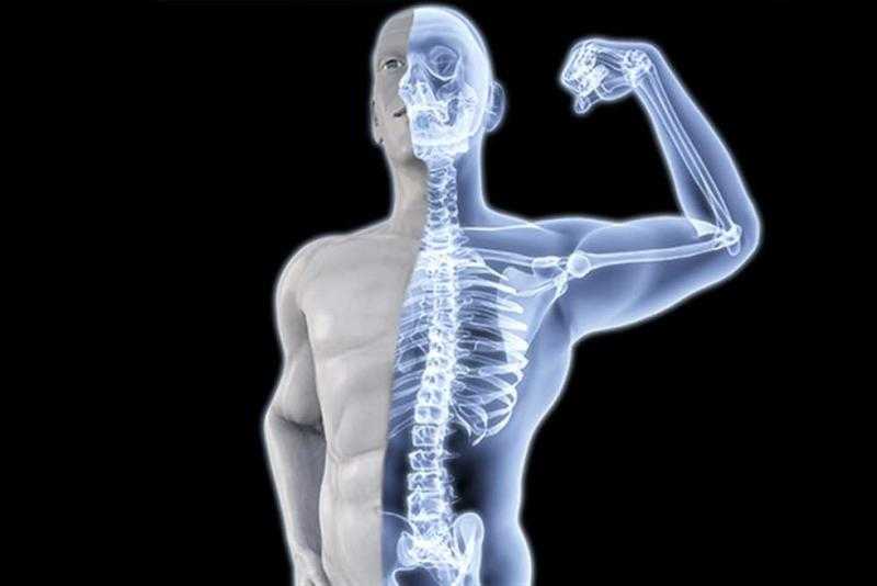 أخصائية أمراض مفاصل: هشاشة العظام مرض صامت يصيب كبار السن «فيديو»