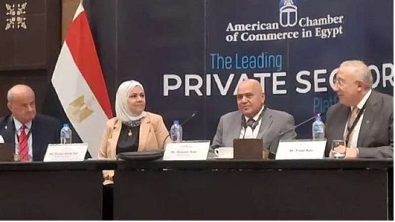 لقاء مصلحة الضرائب المصرية وغرفة التجارة الأمريكية