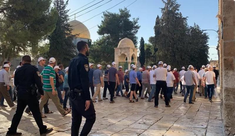 عاجل| مستوطنون يقتحمون المسجد الأقصى بحماية الاحتلال