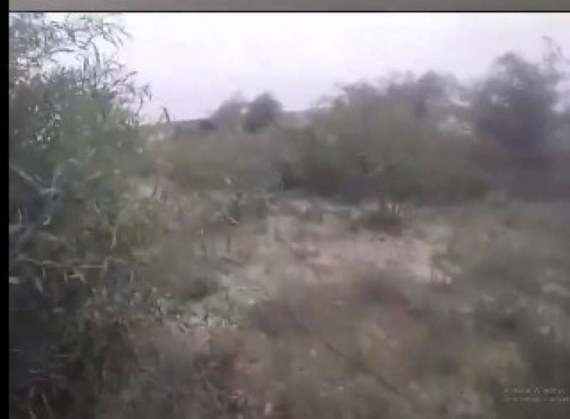 صورة من مقطع الفيديو