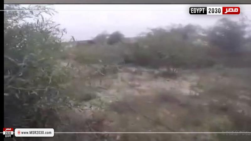 صورة من مقطع الفيديو