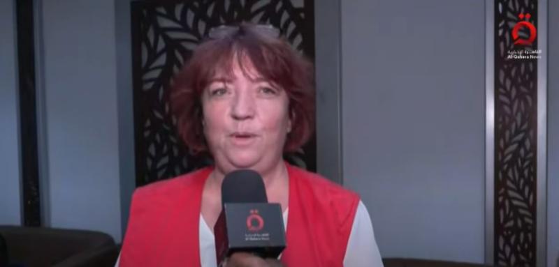 رسائل شكر وامتنان من مواطني النمسا لمصر بعد تسهيل خروجهم من غزة.. «فيديو»