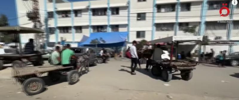 عربات تجرها الحيوانات.. وسيلة النقل الوحيدة في غزة «فيديو»