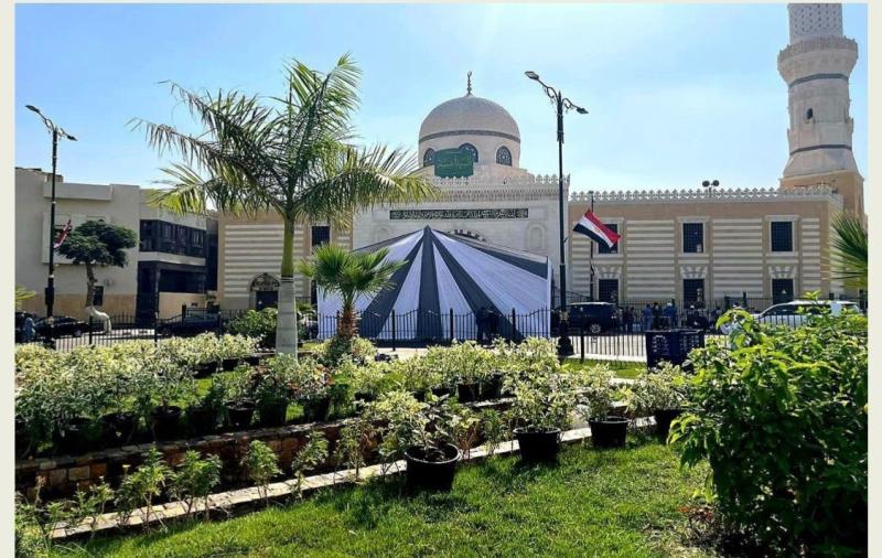 مسجد السيدة نفيسة 