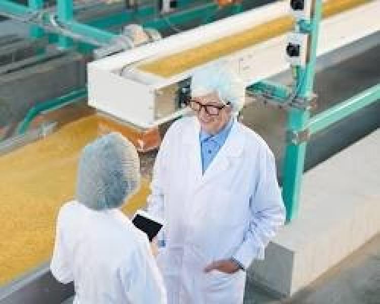 «الصنعة المصرية» تكسر احتكار أوروبا في خطوط إنتاج الويفر والبسكوت