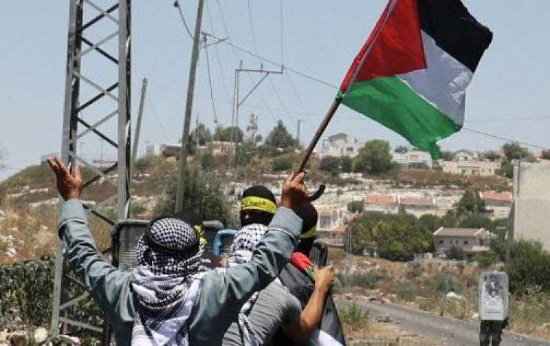 «عضو البحوث الإسلامية»: المقاومة الفلسطينية ليست إرهابية