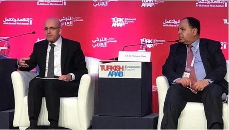 وزير المالية: 790 شركة تركية تعمل في مصر باستثمارات 2.5 مليار دولار