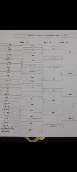 اللواء مصطفى بسيم: الداخلية تمتلك «خيل عربي أصيل» يعود نسبها لخيل النبي (ص)| خاص